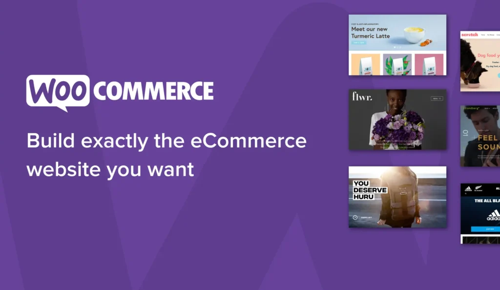 WooCommerce plugin