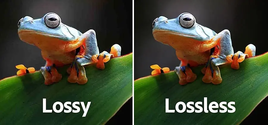 Lossy vs Lossless Compression side by side