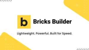 bricks builder review