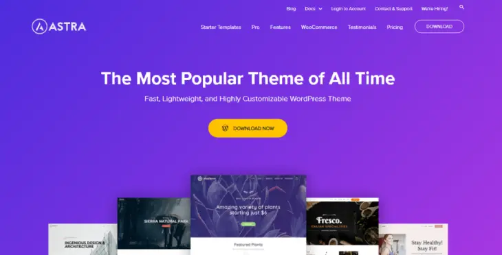 WordPress Astra theme WP Astra Theme