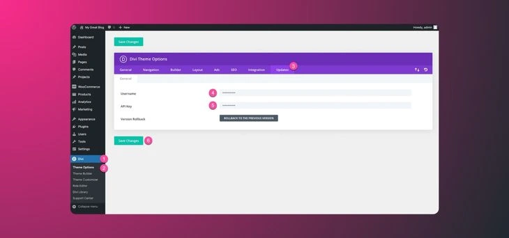 Authenticate Divi with Your API Key