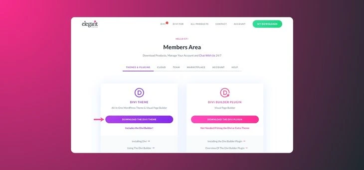 Install and Activate the Divi Theme