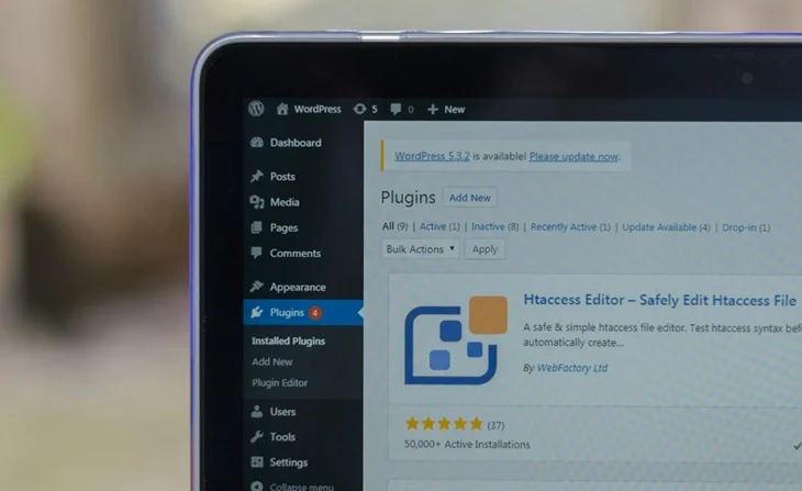 update wordpress plugin