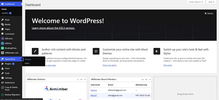 appearance menu of wordpress dashboard