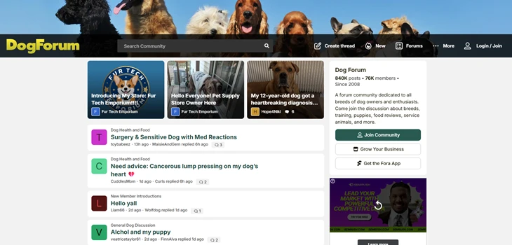dogforum website