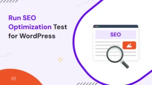 Run SEO Optimization Test for WordPress Website