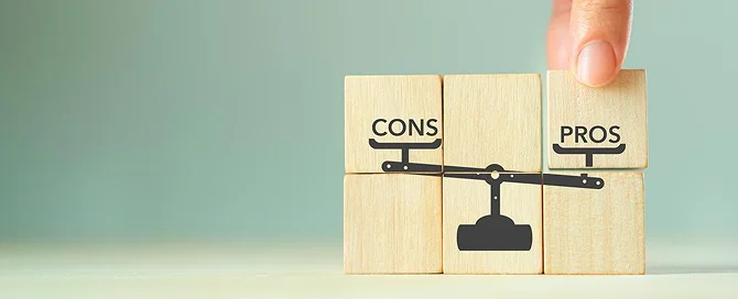 pro and cons of directorist